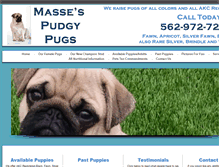 Tablet Screenshot of massespudgypugs.com